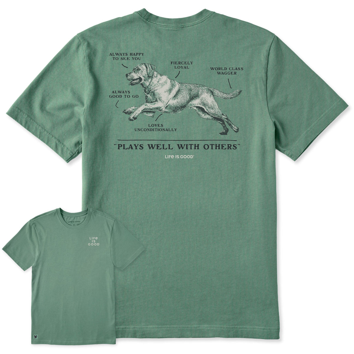 Men's Anatomy of a Best Friend Short Sleeve Crusher Tee product image 1
