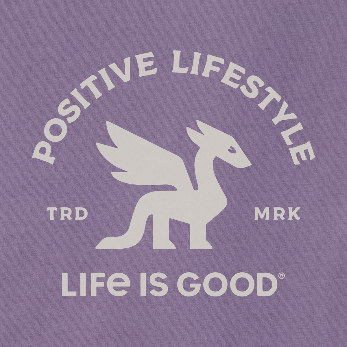 Kids Positive Lifestyle Dragon Patch Good Vibes Hoodie product image 5