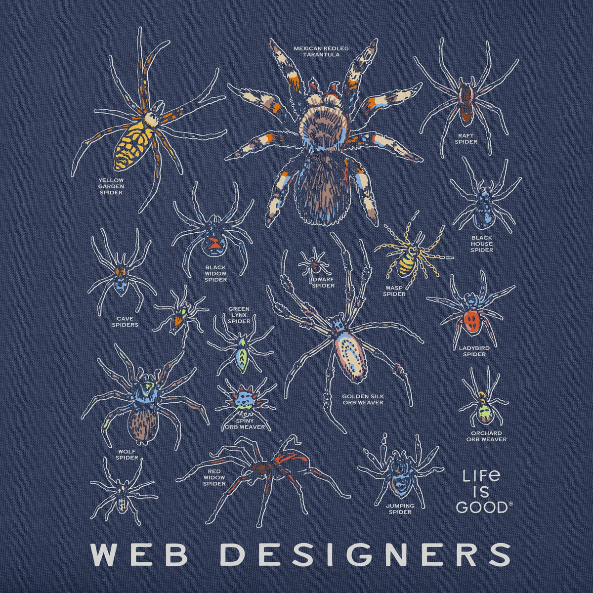 Web Designers