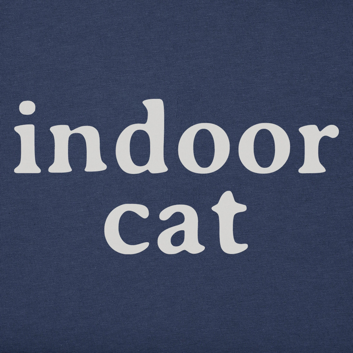 Indoor Cat product image 1