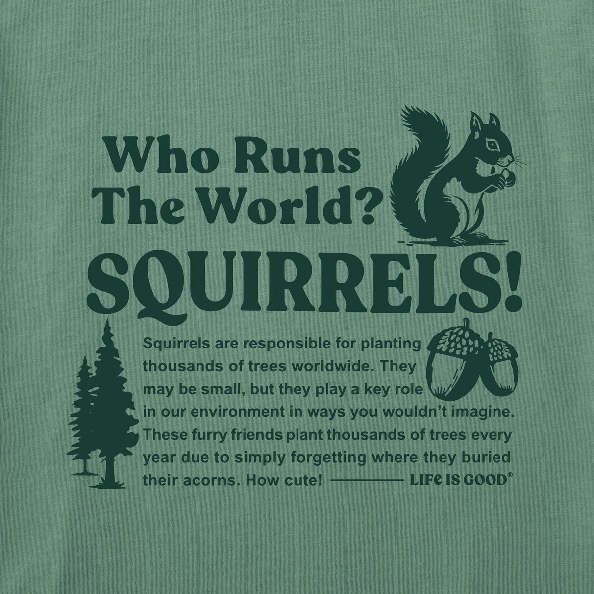 Women's Squirrels Run the World Short Sleeve Oversized product image 5