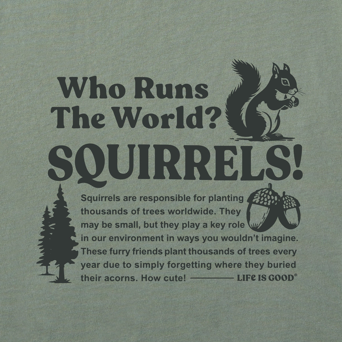 Men's Squirrels Run the World Short Sleeve Oversized product image 2