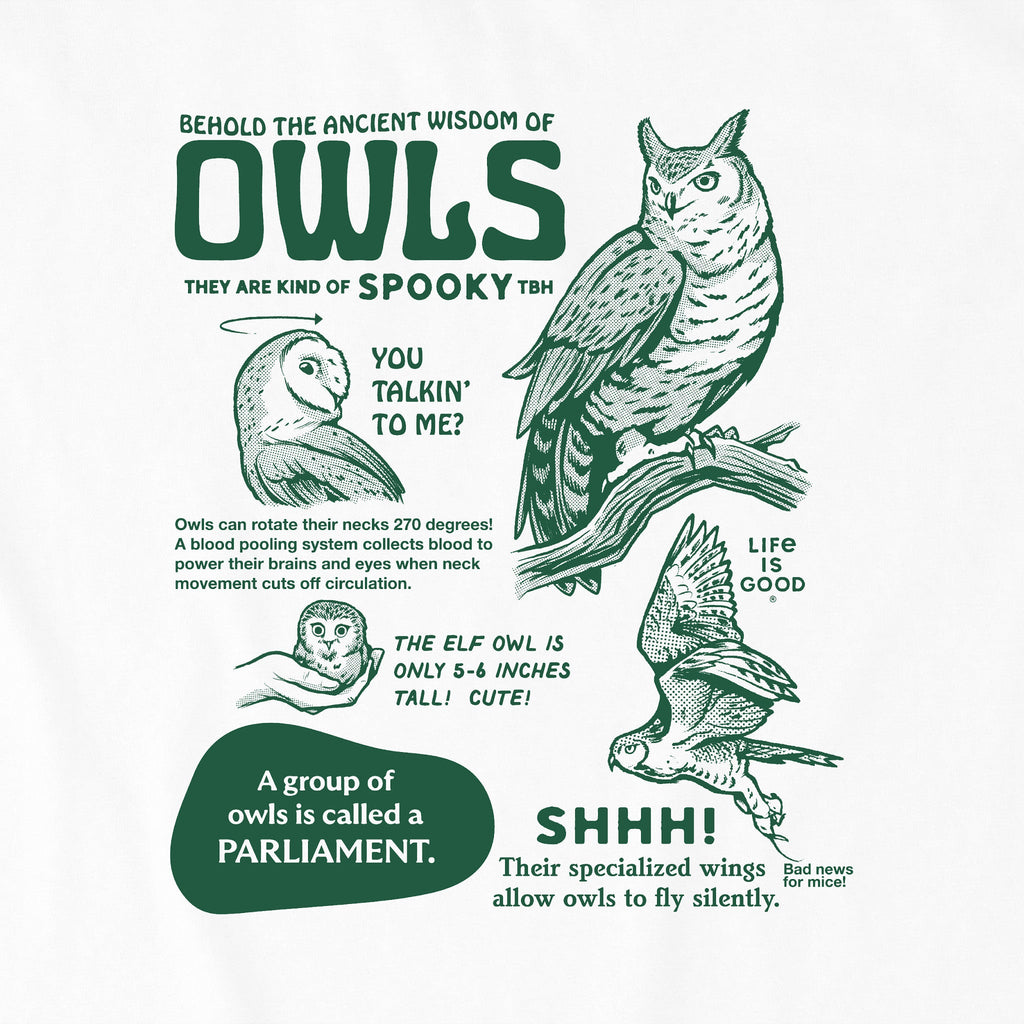 Women's The Wisdom of Owls Short Sleeve Oversized Crusher product image 5