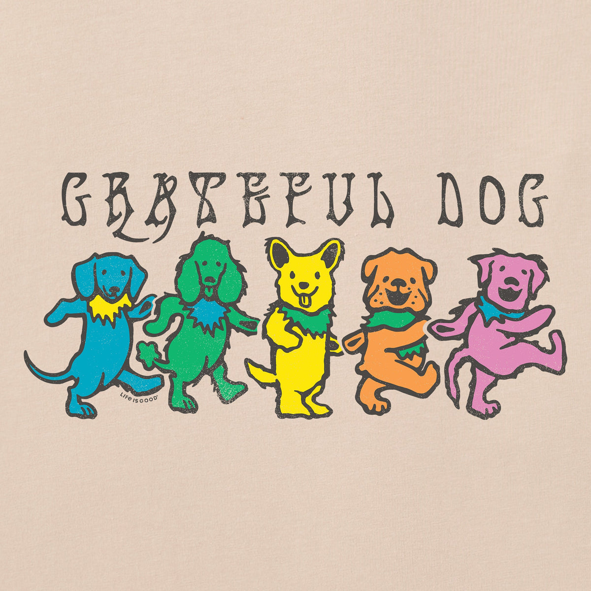 Men's Grateful Dog Short Sleeve Oversized Crusher Tee product image 2