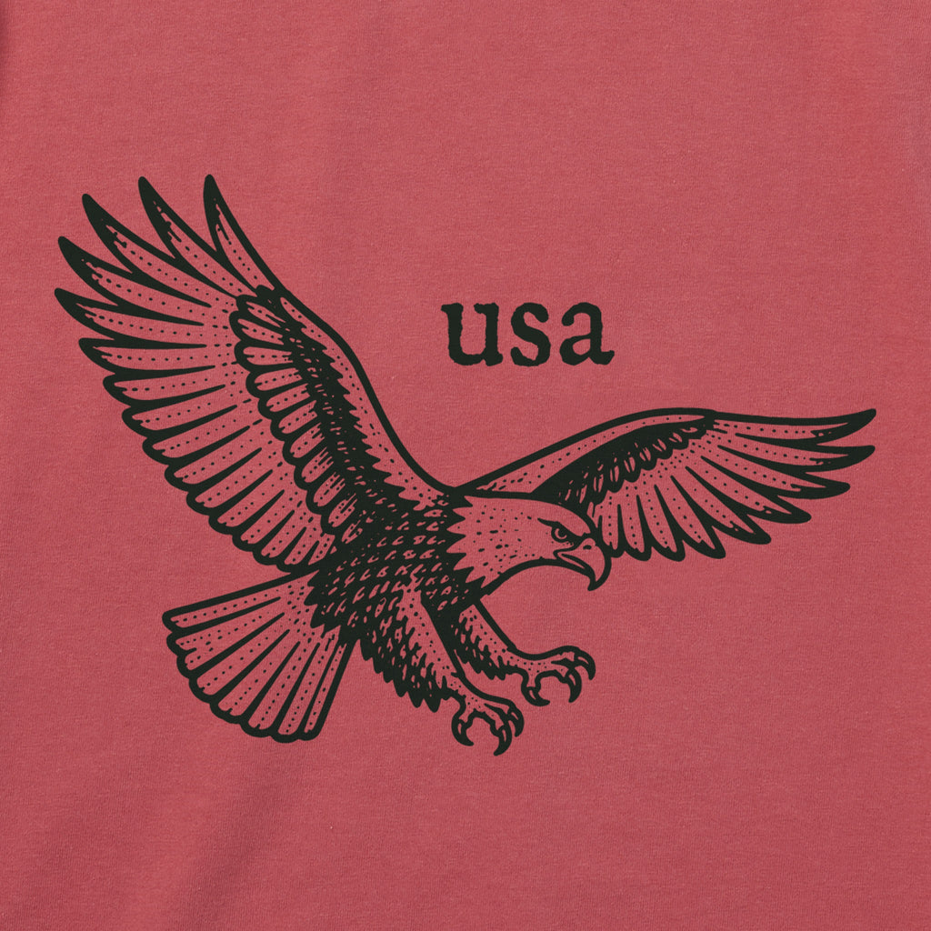 Women's USA Pride Eagle Short Sleeve Crusher Tee product image 2