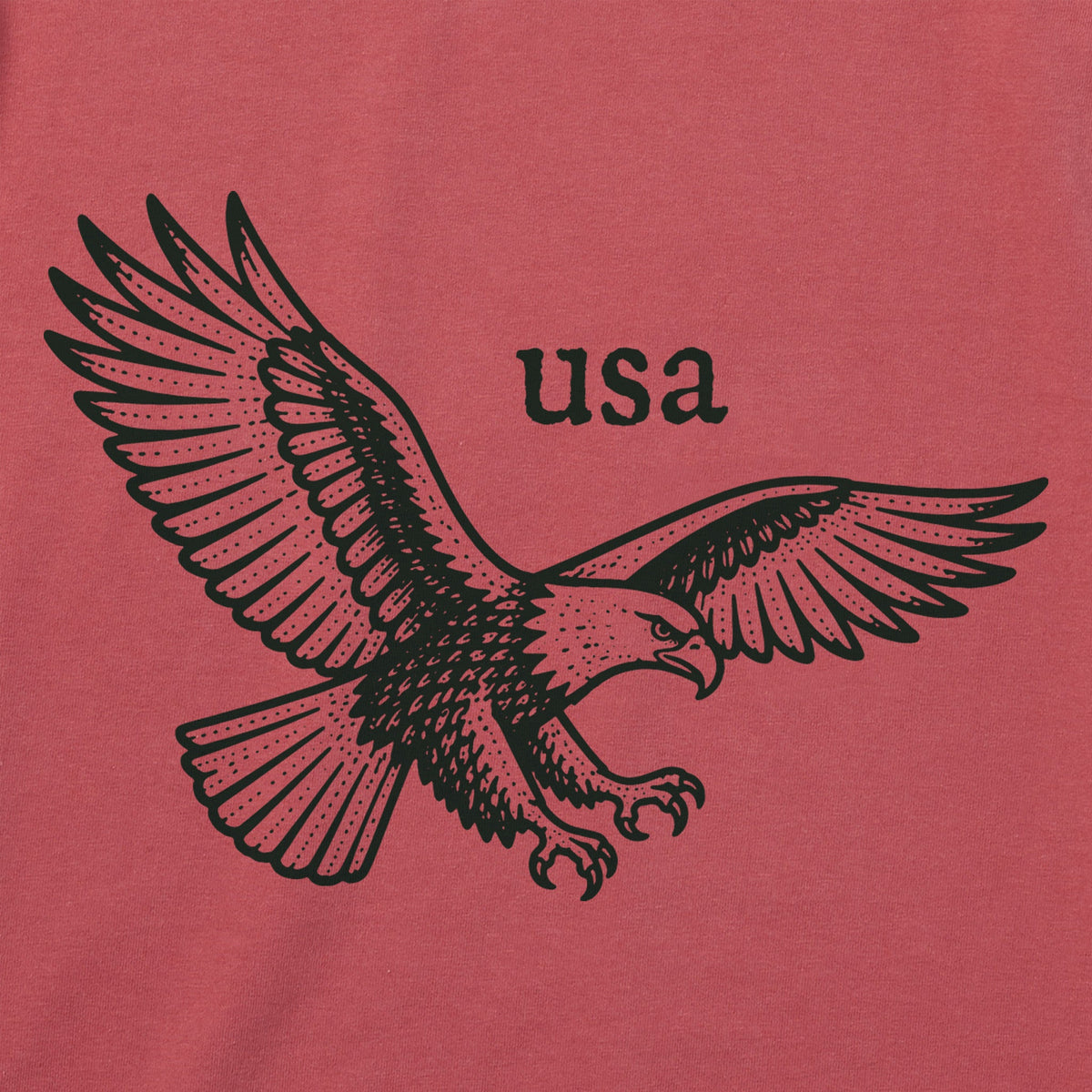 Men's USA Pride Eagle Short Sleeve Crusher Tee product image 2